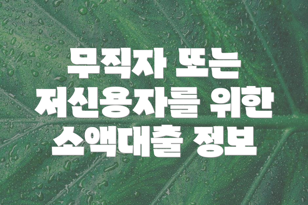 무직자 또는 저신용자를 위한 소액대출 정보