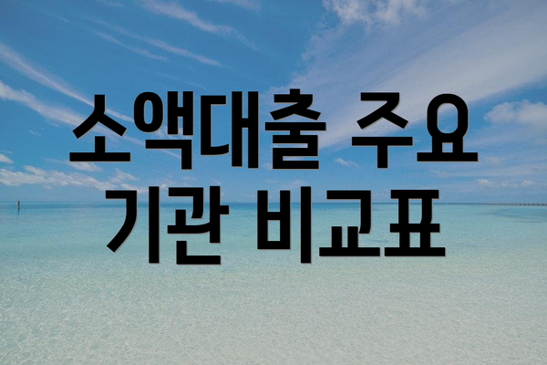 소액대출 주요 기관 비교표