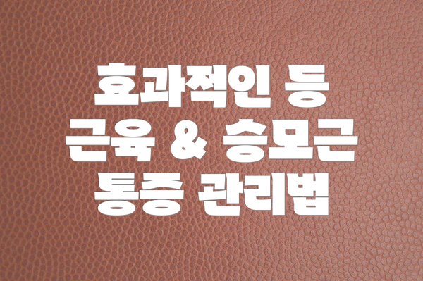 효과적인 등 근육 & 승모근 통증 관리법