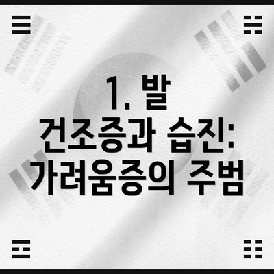 1. 발 건조증과 습진: 가려움증의 주범