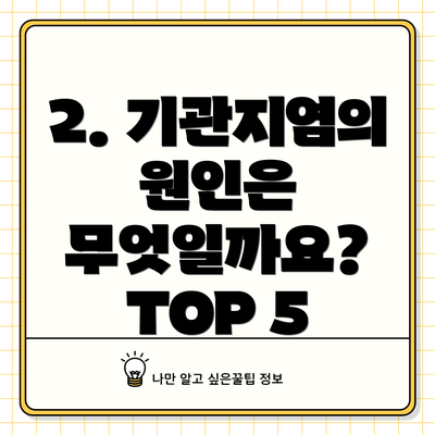 2. 기관지염의 원인은 무엇일까요? TOP 5