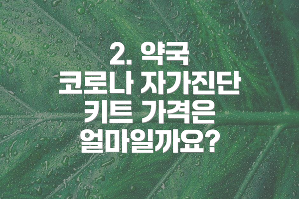 2. 약국 코로나 자가진단 키트 가격은 얼마일까요?