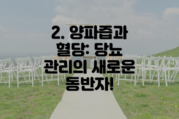 2. 양파즙과 혈당: 당뇨 관리의 새로운 동반자!