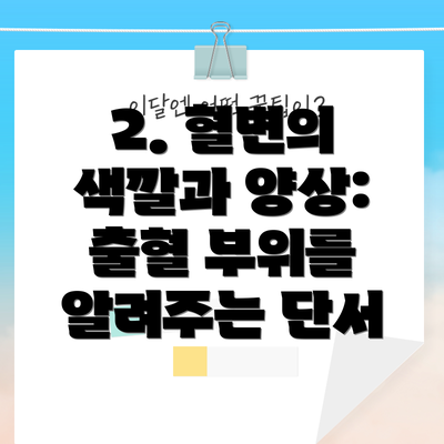 2. 혈변의 색깔과 양상: 출혈 부위를 알려주는 단서
