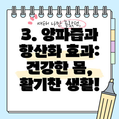 3. 양파즙과 항산화 효과: 건강한 몸, 활기찬 생활!