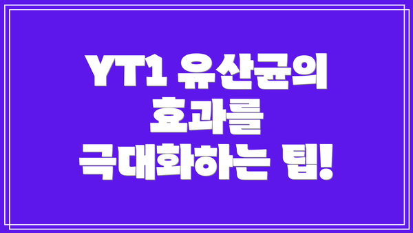 YT1 유산균의 효과를 극대화하는 팁!