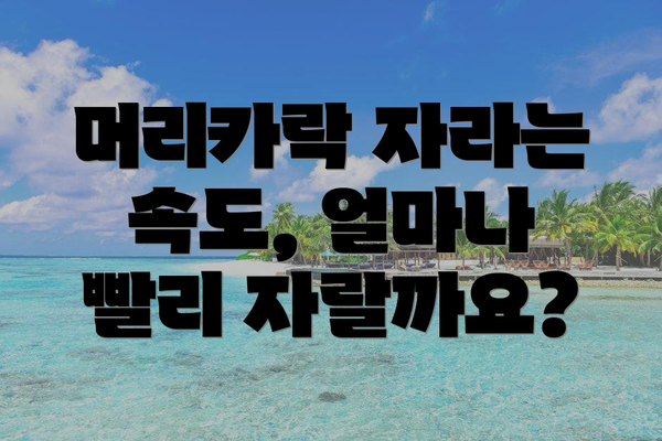 머리카락 자라는 속도, 얼마나 빨리 자랄까요?