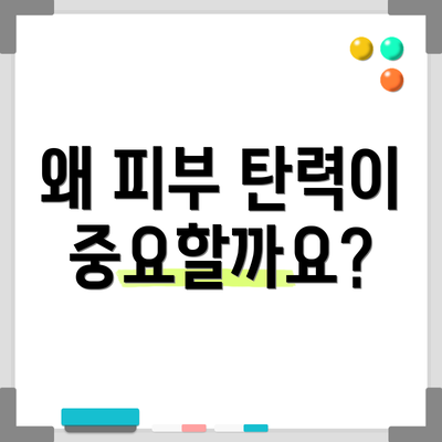 왜 피부 탄력이 중요할까요?