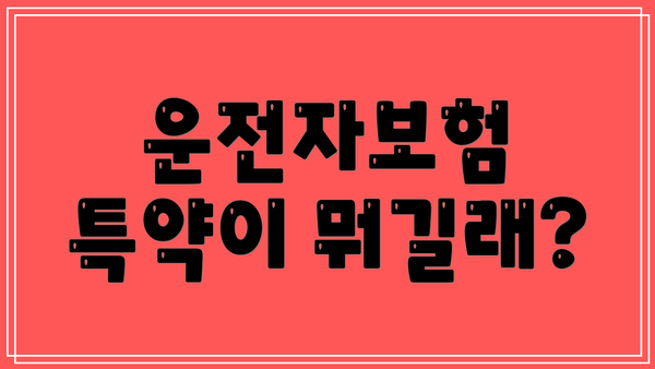 운전자보험 특약이 뭐길래?