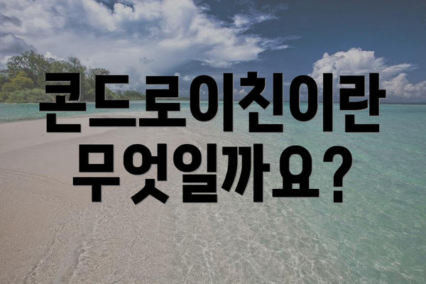 콘드로이친이란 무엇일까요?