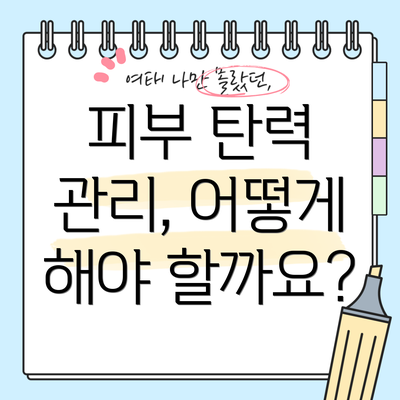 피부 탄력 관리, 어떻게 해야 할까요?