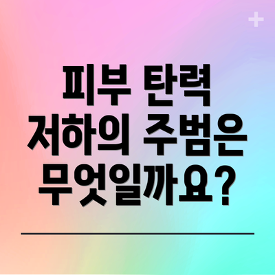 피부 탄력 저하의 주범은 무엇일까요?
