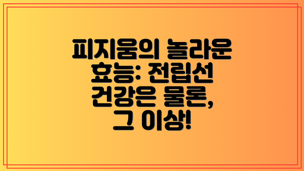 피지움의 놀라운 효능: 전립선 건강은 물론, 그 이상!