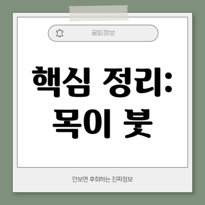 핵심 정리: 목이 붓