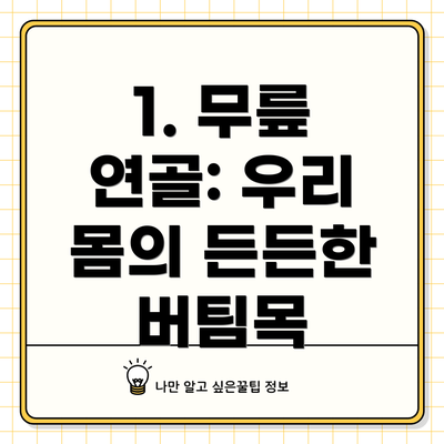1. 무릎 연골: 우리 몸의 든든한 버팀목