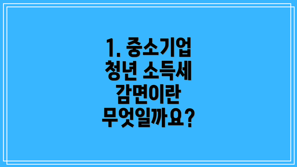 1. 중소기업 청년 소득세 감면이란 무엇일까요?