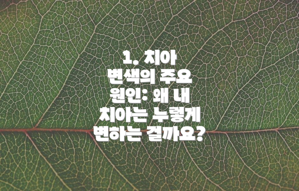 1. 치아 변색의 주요 원인: 왜 내 치아는 누렇게 변하는 걸까요?