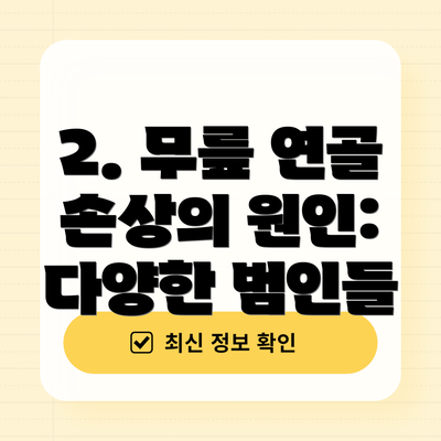 2. 무릎 연골 손상의 원인: 다양한 범인들
