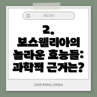 2. 보스웰리아의 놀라운 효능들: 과학적 근거는?