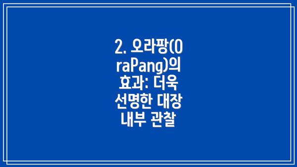 2. 오라팡(OraPang)의 효과: 더욱 선명한 대장 내부 관찰