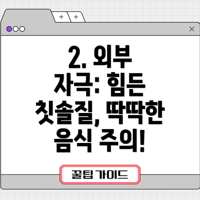 2. 외부 자극: 힘든 칫솔질, 딱딱한 음식 주의!