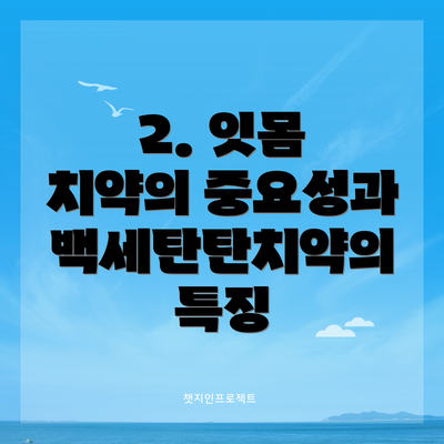 2. 잇몸 치약의 중요성과 백세탄탄치약의 특징