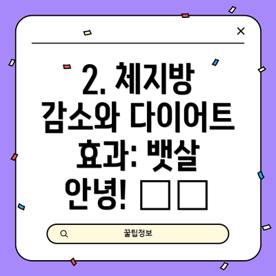 2. 체지방 감소와 다이어트 효과: 뱃살 안녕! 👋🏻