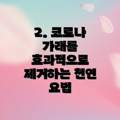 2. 코로나 가래를 효과적으로 제거하는 천연 요법