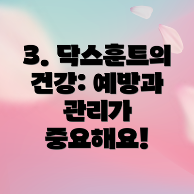 3. 닥스훈트의 건강: 예방과 관리가 중요해요!