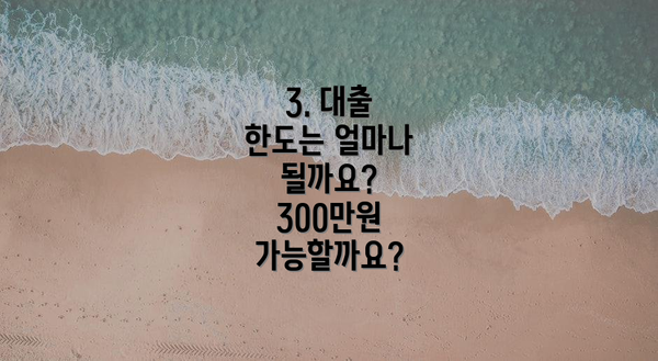 3. 대출 한도는 얼마나 될까요?  300만원 가능할까요?