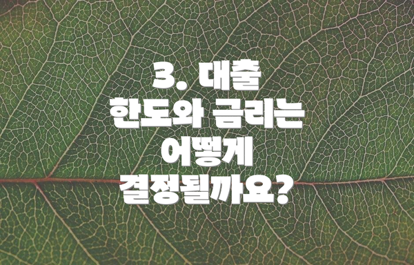 3. 대출 한도와 금리는 어떻게 결정될까요?