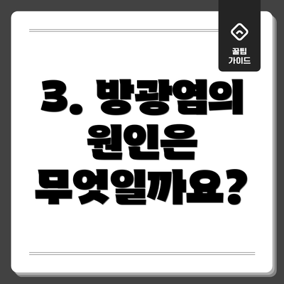 3. 방광염의 원인은 무엇일까요?