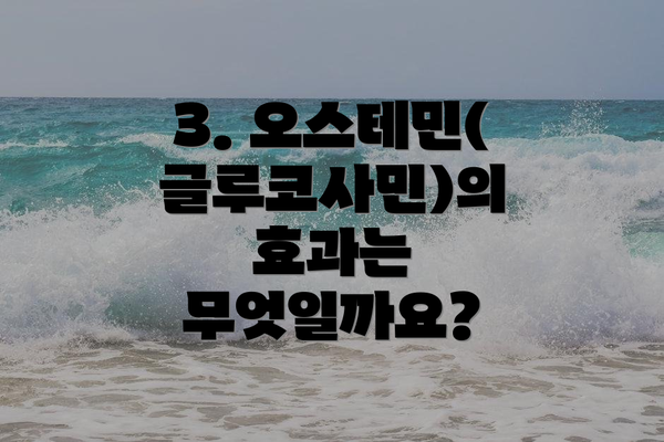 3. 오스테민(글루코사민)의 효과는 무엇일까요?