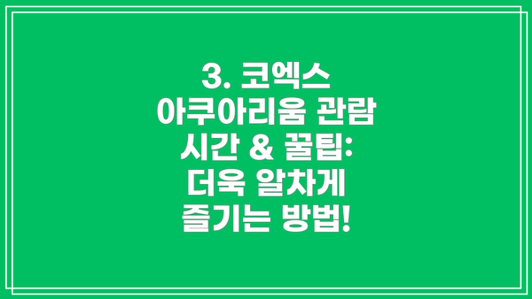3. 코엑스 아쿠아리움 관람 시간 & 꿀팁:  더욱 알차게 즐기는 방법!