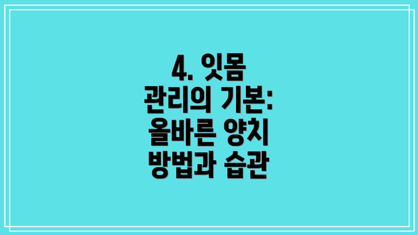 4. 잇몸 관리의 기본: 올바른 양치 방법과 습관