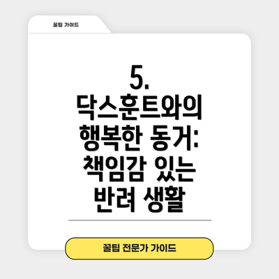 5. 닥스훈트와의 행복한 동거:  책임감 있는 반려 생활