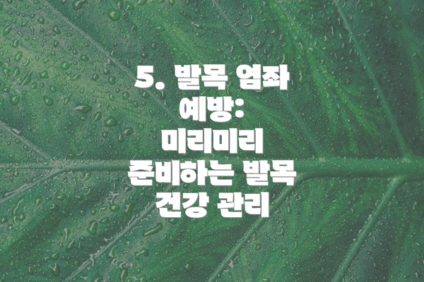 5. 발목 염좌 예방:  미리미리 준비하는 발목 건강 관리