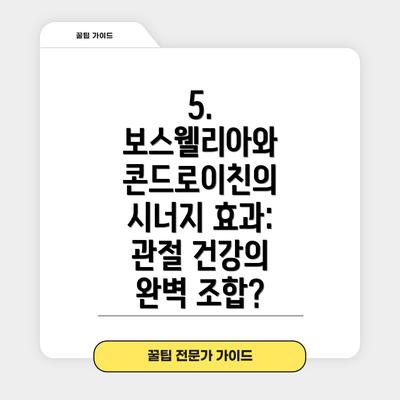 5. 보스웰리아와 콘드로이친의 시너지 효과: 관절 건강의 완벽 조합?