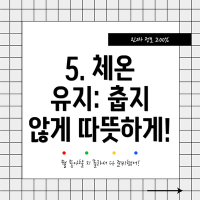 5. 체온 유지: 춥지 않게 따뜻하게!