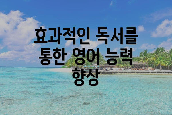 효과적인 독서를 통한 영어 능력 향상