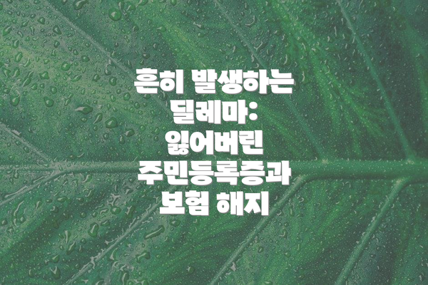 흔히 발생하는 딜레마: 잃어버린 주민등록증과 보험 해지